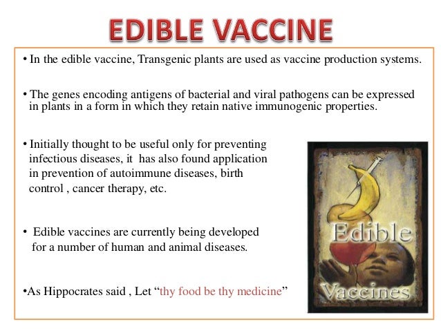 edible vaccines essay Which is a disadvantage of using dna technology edible vaccines phytoremediation herbicide tolerance gene transfer to nontarget species. edible vaccines essay Which is a disadvantage of using dna technology edible vaccines phytoremediation herbicide tolerance gene transfer to nontarget species.